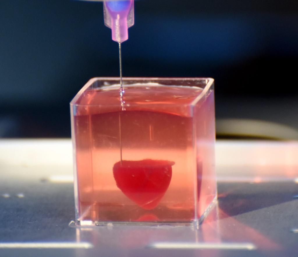 Impression 3D : des scientifiques créent un cœur humain de toute pièce #3
