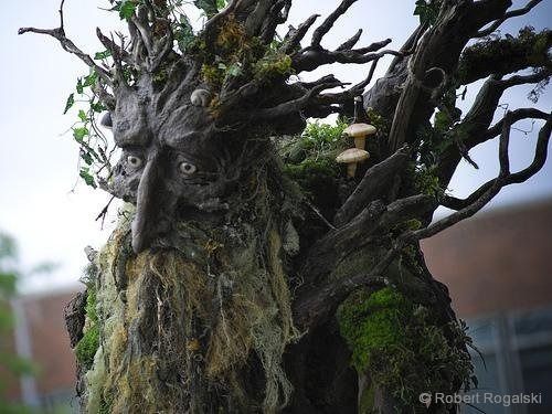 Cet arbre à chat grandeur nature est complètement dingue #3