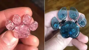 Davenport Memorial Glass transforme les cendres de votre chat en pendentif