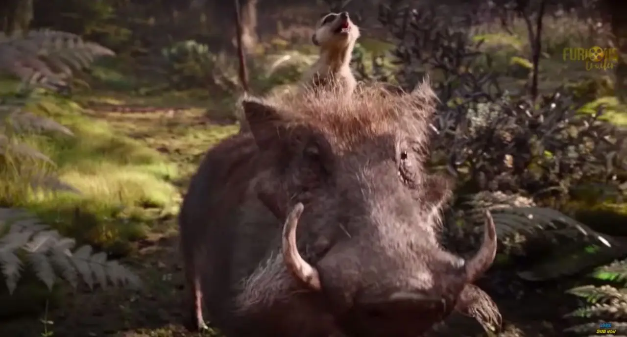 Timon et Pumba