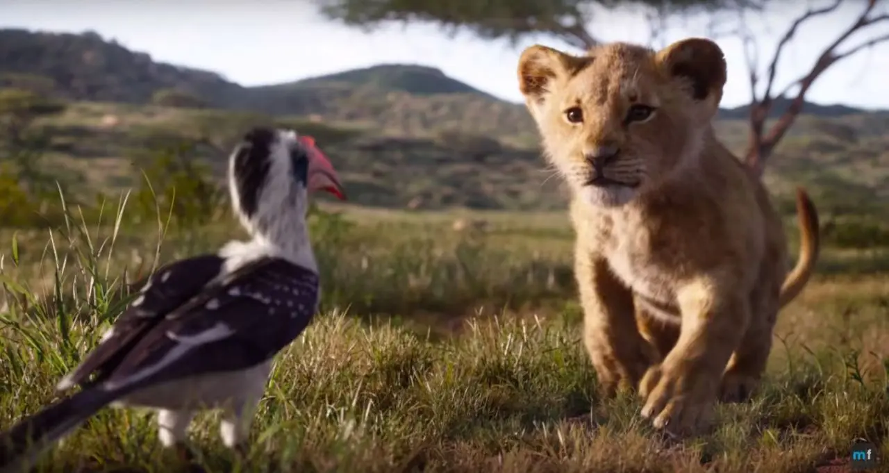 Zazou et Simba