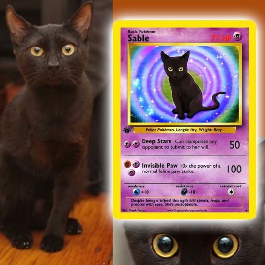 Pokémon : cette artiste réalise des cartes Pokémon à l’effigie de votre animal #5
