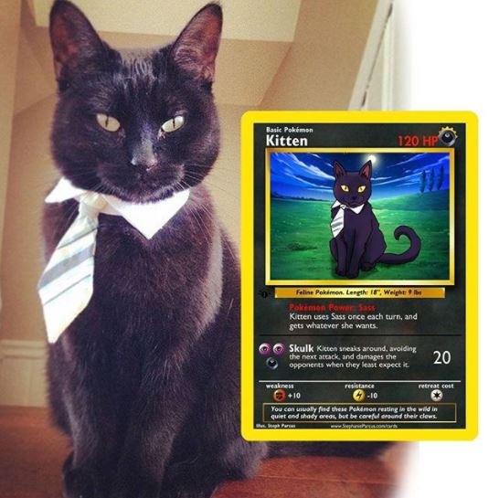 Pokémon : cette artiste réalise des cartes Pokémon à l’effigie de votre animal