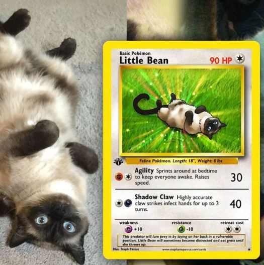 Pokémon : cette artiste réalise des cartes Pokémon à l’effigie de votre animal #6