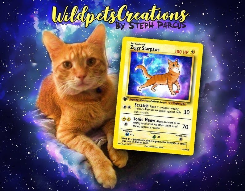 Pokémon : cette artiste réalise des cartes Pokémon à l’effigie de votre animal #2