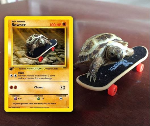 Pokémon : cette artiste réalise des cartes Pokémon à l’effigie de votre animal #3