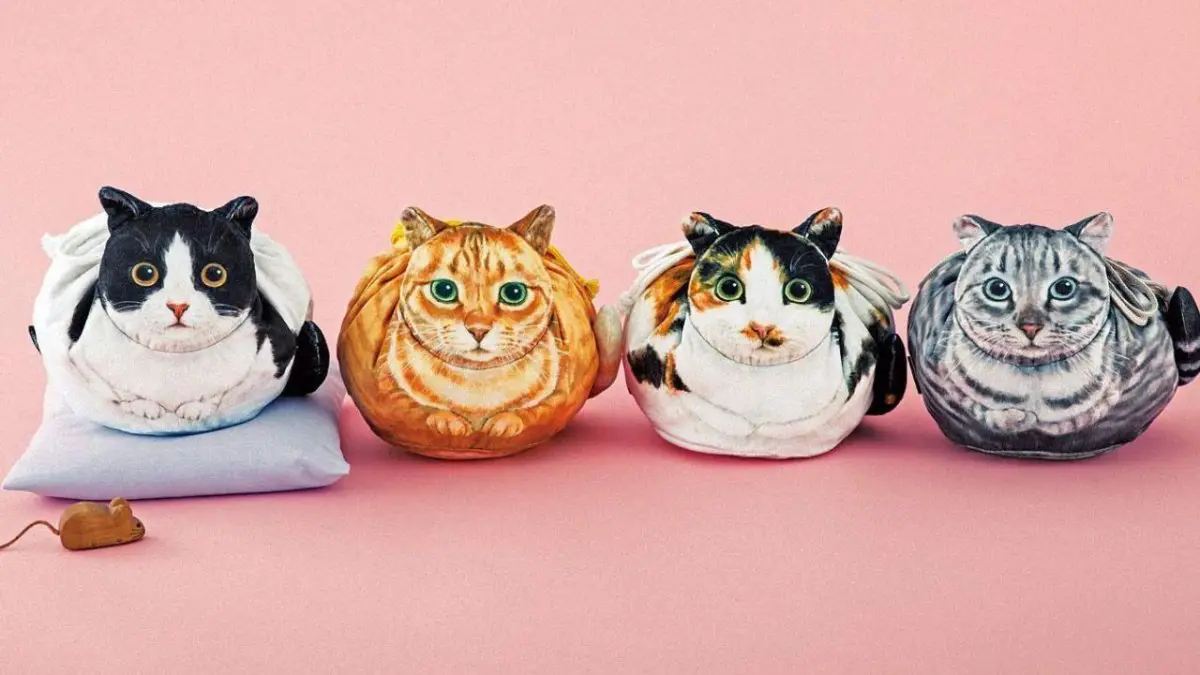 Des sacs en forme de chats ultra-réalistes