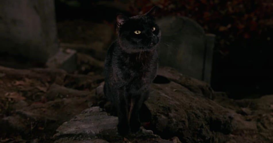 Hocus Pocus 2 en préparation sur Disney+ #4