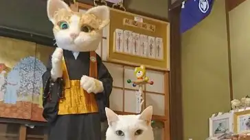 Au Japon, il existe un temple dédié aux chats