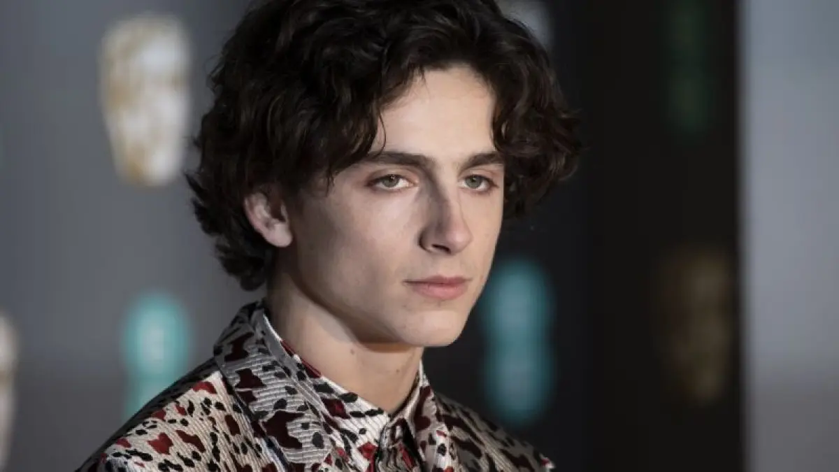 Marvel : Un portrait fan art de Timothée Chalamet en jeune Loki