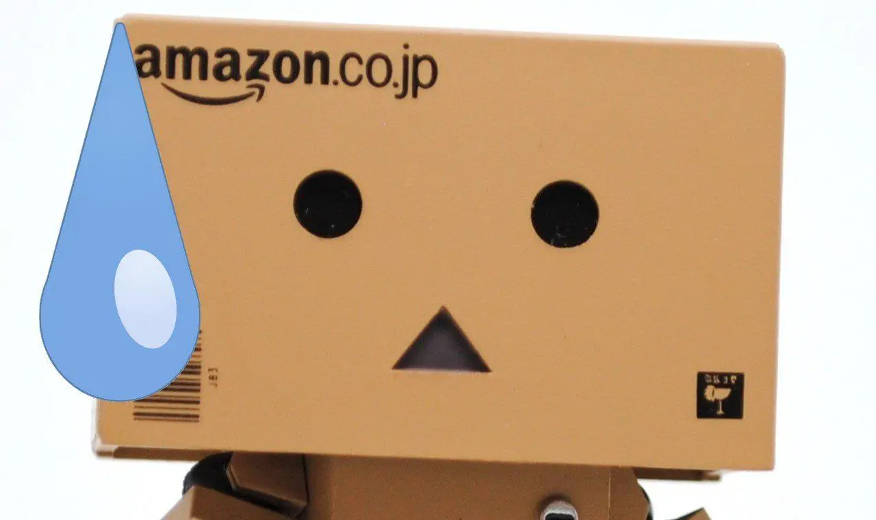 Amazon continuera finalement à livrer en France