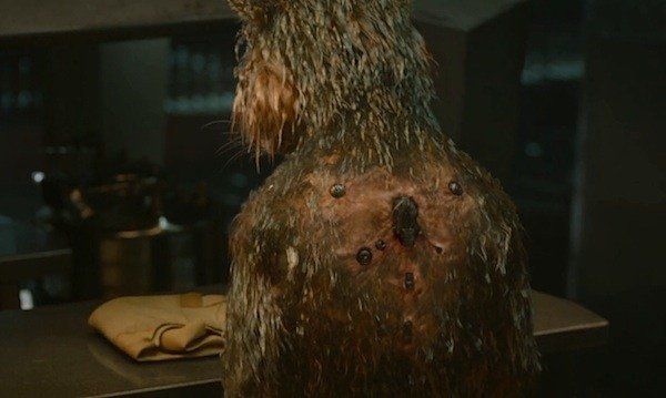 Les Gardiens de la Galaxie 3 : les origines de Rocket seront au cœur de l’intrigue #2