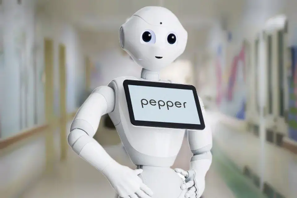Coronavirus : au Japon des robots prennent soin des patients