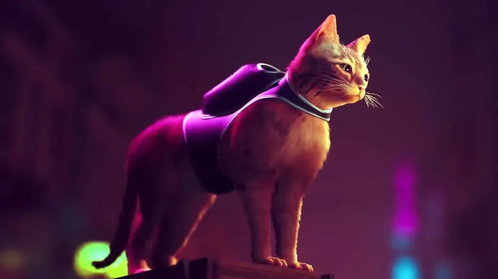 Playstation 5 : incarnez un chat dans un monde cyberpunk