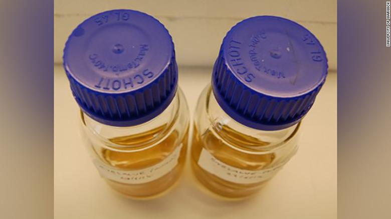 Cette recette médiévale est plus efficace que les antibiotiques contre les infections #2