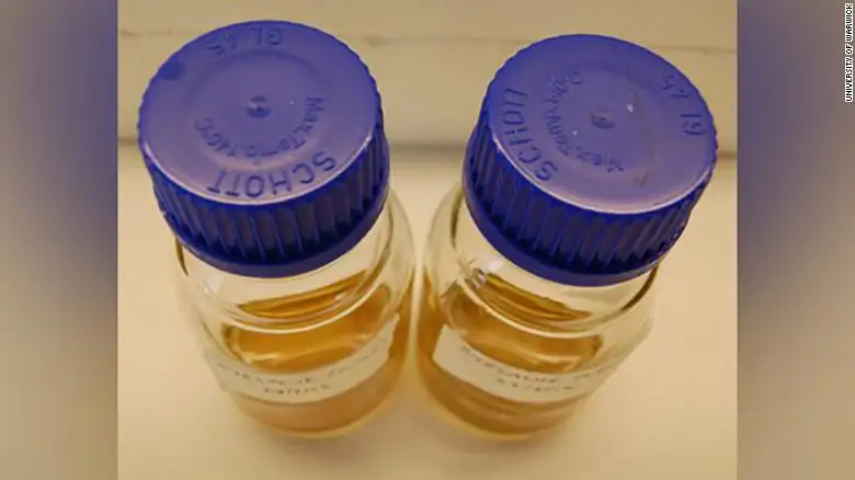 Cette recette médiévale est plus efficace que les antibiotiques contre les infections #2