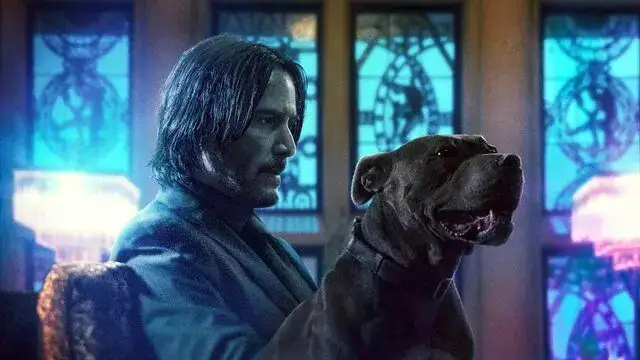 John Wick 5 confirmé par Lionsgate