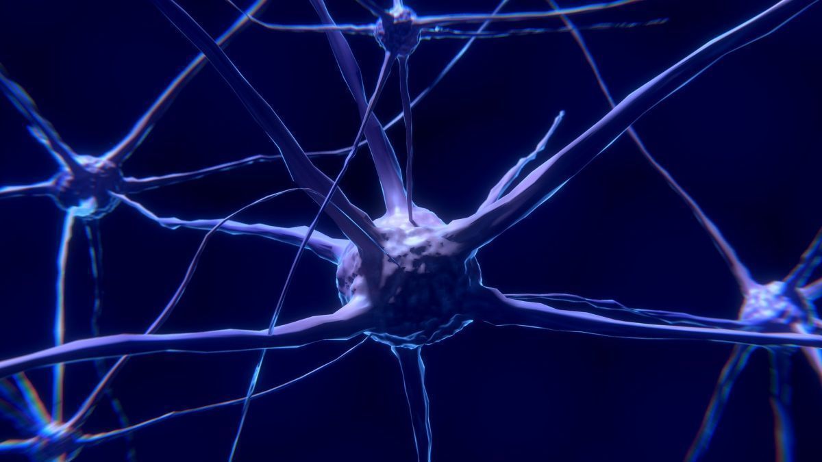 Neuralink : Elon Musk va présenter une puce qui rend plus intelligent et permet de connecter le cerveau aux machines #2