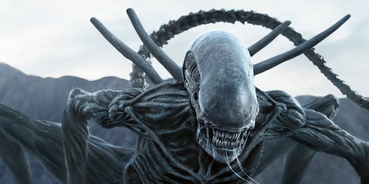 Alien : Ridley Scott évoque la suite et ça sent mauvais…