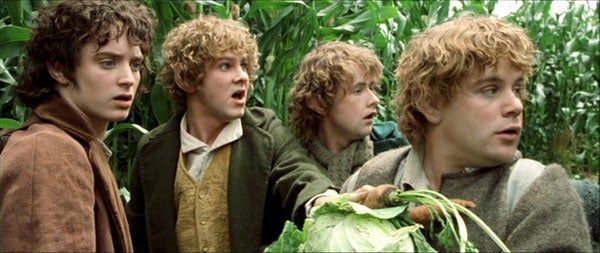 Le Seigneur des Anneaux : Elijah Wood tacle la série en raison d’un choix douteux du studio
