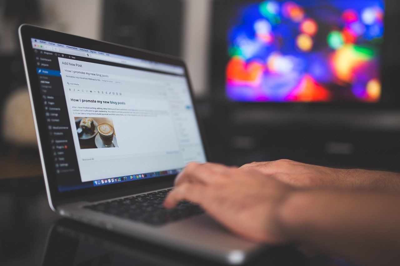 37% des sites web dans le monde tournent sous WordPress #6