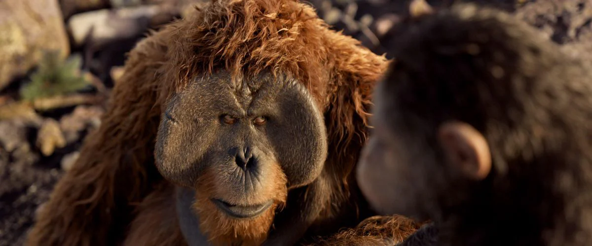 Des chercheurs introduisent un gène humain dans un fœtus de singe et doublent la taille de son cerveau #2