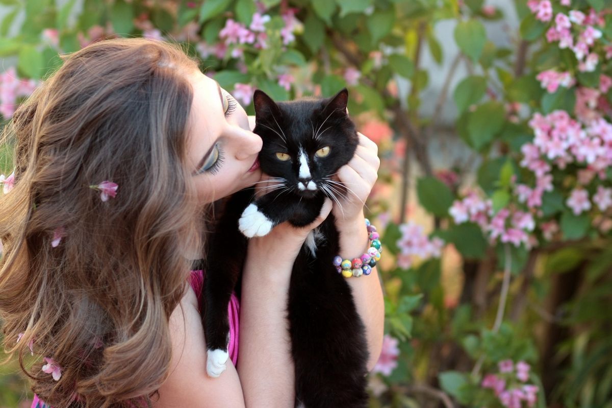 MeowTalk : une appli qui traduit les miaulements de votre chat #6