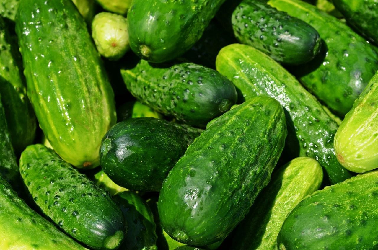 Coronavirus : il offre 20% de réduction sur les fruits et légumes aux clients vaccinés