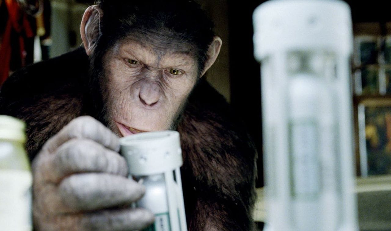 Elon Musk implante une puce à un singe pour lui permettre de jouer aux jeux vidéo par la pensée #2