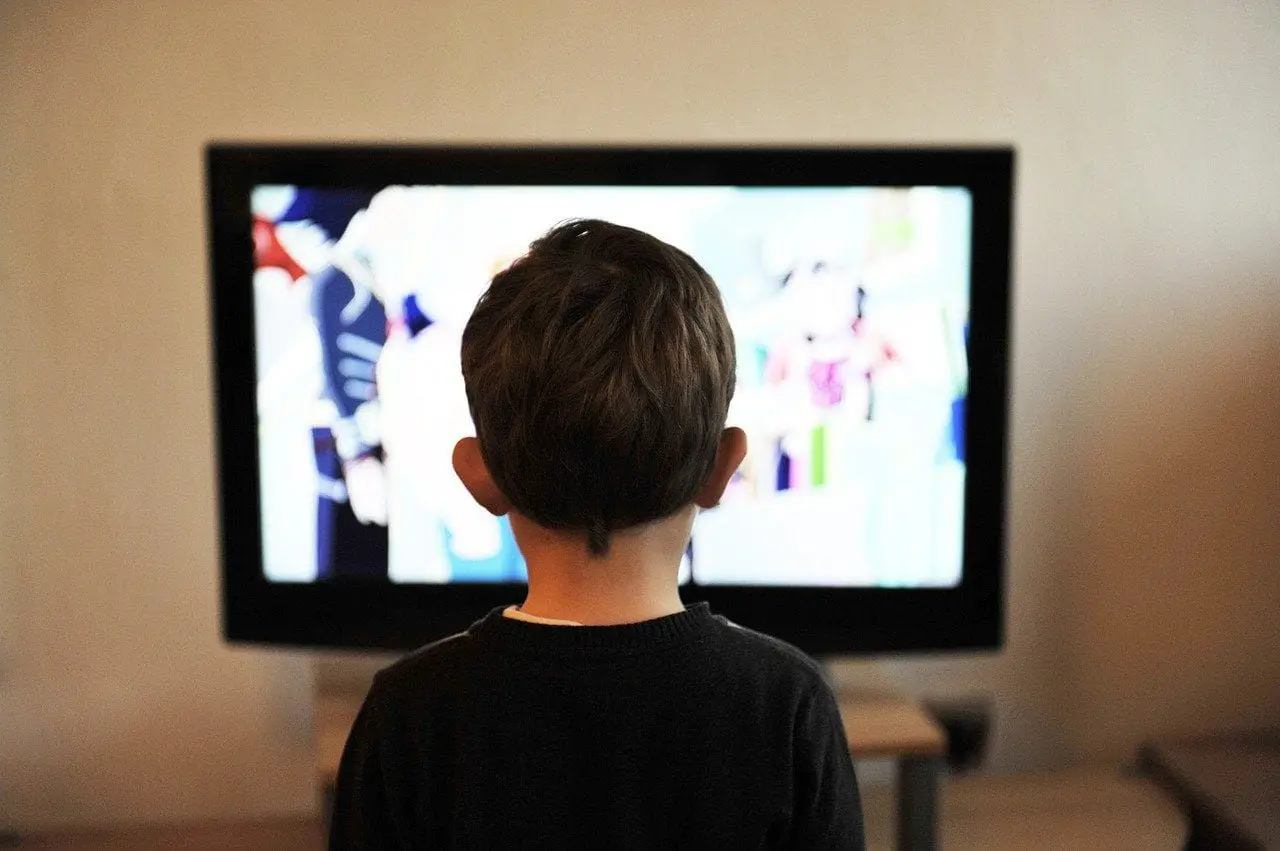 Regarder les chaines de la TNT en direct