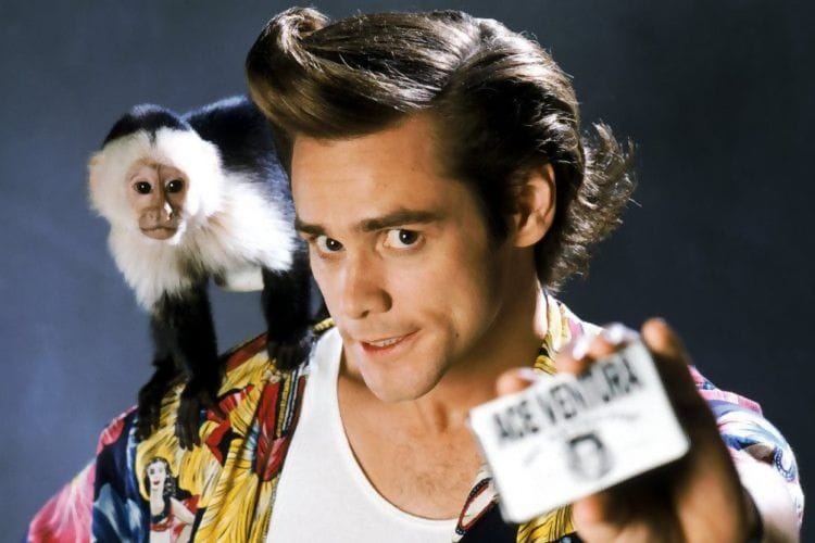 Ace Ventura 3 : les scénaristes de Sonic travaillent sur un script