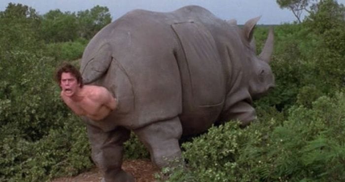 Ace Ventura 3 : les scénaristes de Sonic travaillent sur un script #3