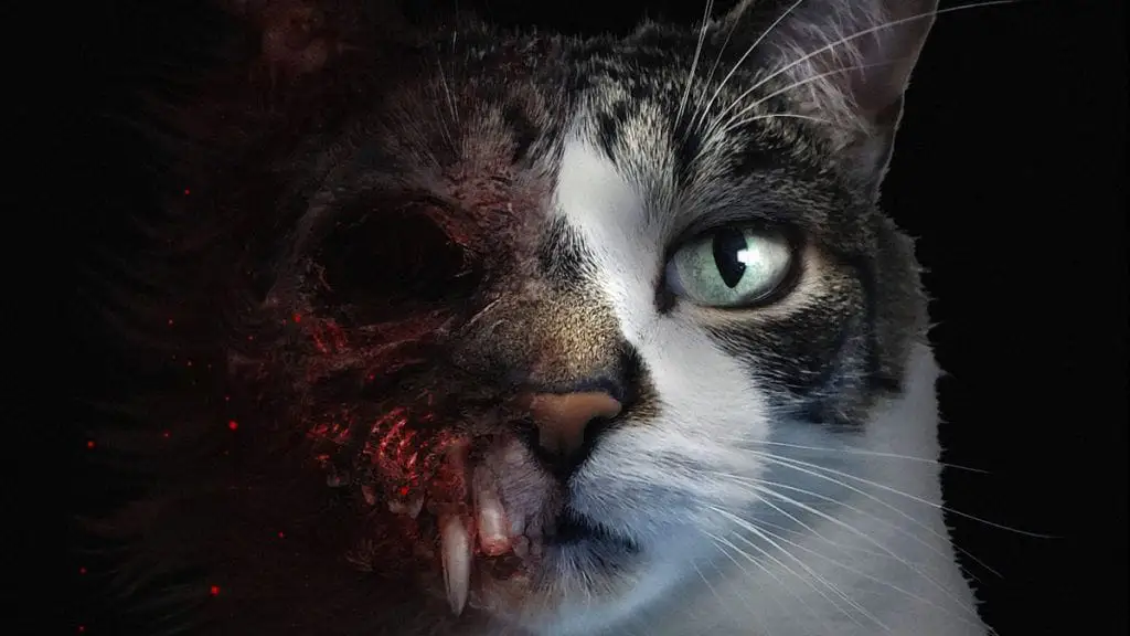 Incarnez un chat dans ce nouveau jeu d’horreur
