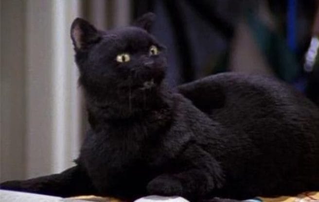 Une Américaine accusée de crime à cause d’une VHS de Sabrina louée il y a 20 ans #2
