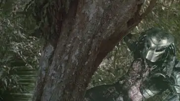 En Pologne, une « créature » perchée dans un arbre a terrorisé les habitants d’une ville pendant plusieurs jours