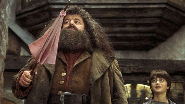 21 anecdotes sur Harry Potter à l’école des sorciers #14