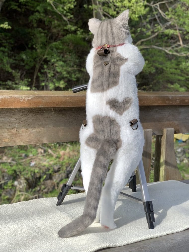 Ce sac à dos en forme de chat ultra réaliste fait le buzz sur Twitter #4