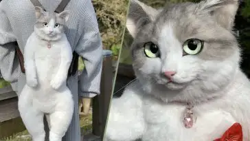 Ce sac à dos en forme de chat ultra réaliste fait le buzz sur Twitter
