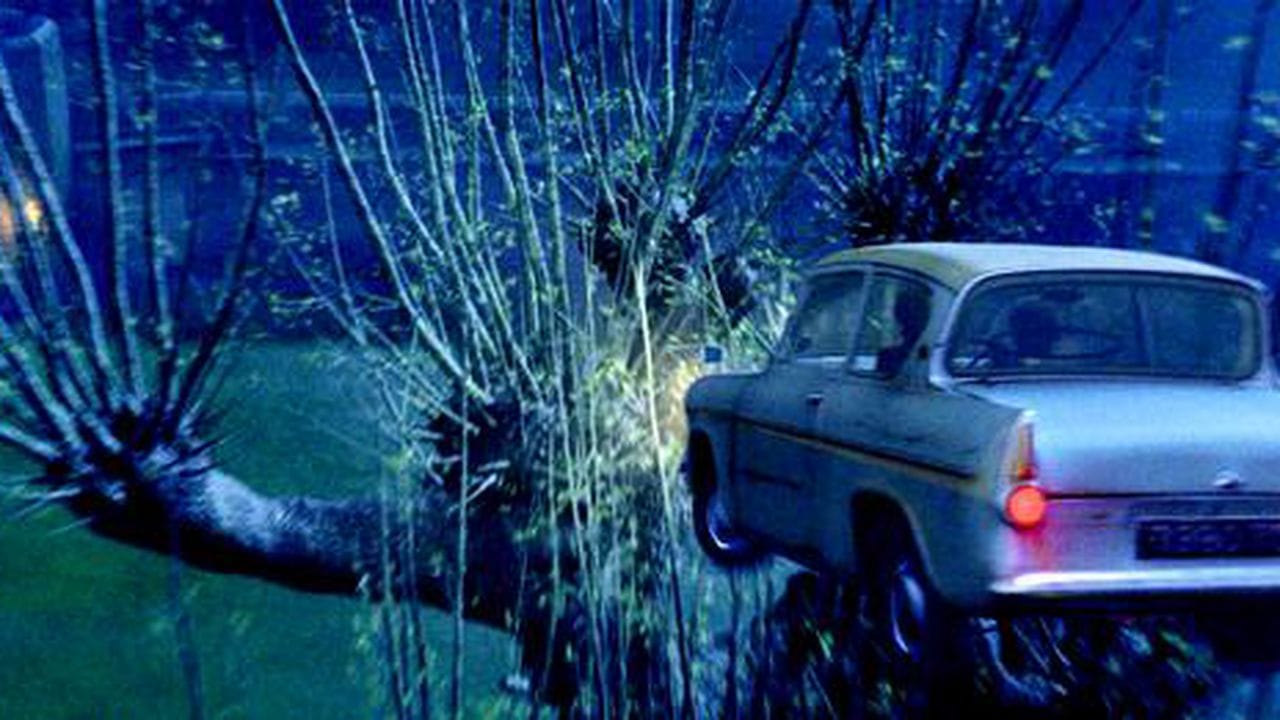 12 anecdotes sur Harry Potter et la Chambre des secrets #4