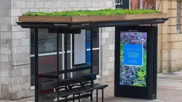 La ville de Leicester va végétaliser tous ses abribus pour protéger les abeilles