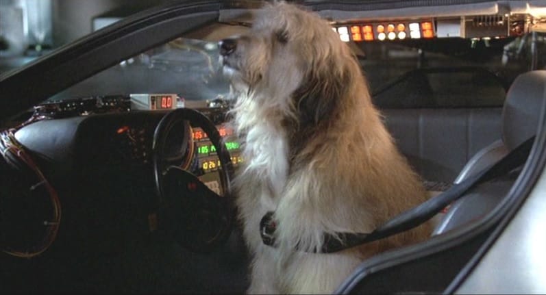 20 anecdotes sur Retour vers le futur