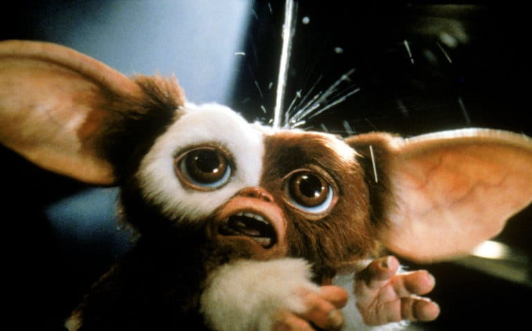 15 anecdotes sur Les Goonies #14