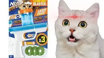 Nerf lance un blaster qui tire de l’herbe à chat à la place des fléchettes