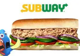 Le sandwich au thon de Subway ne contient pas de thon d’après un test ADN récent
