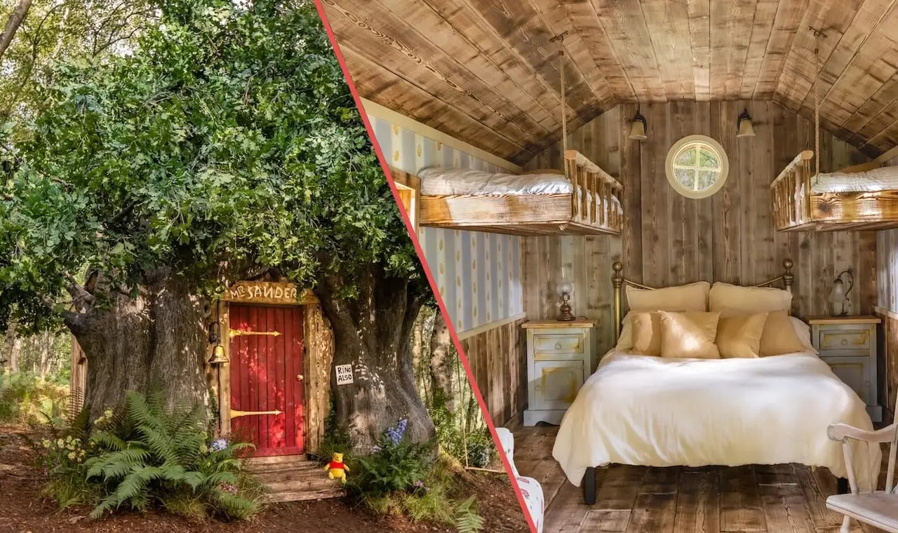 Disney : la cabane de Winnie l’ourson est à louer sur Airbnb