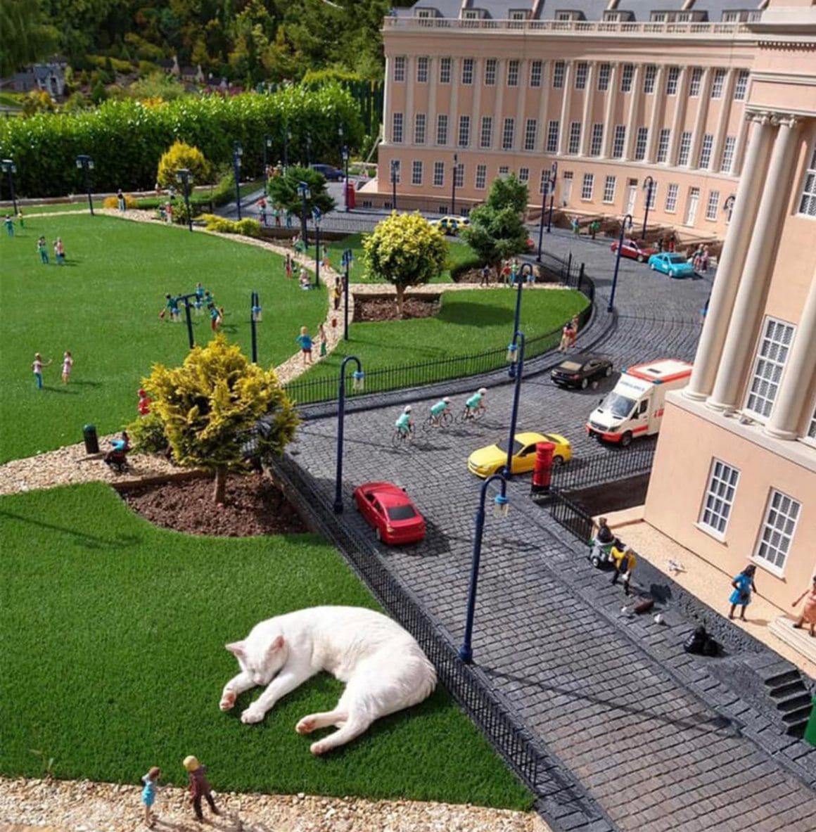 Dans ce village miniature, des « chats géants » sont devenus des stars d’internet