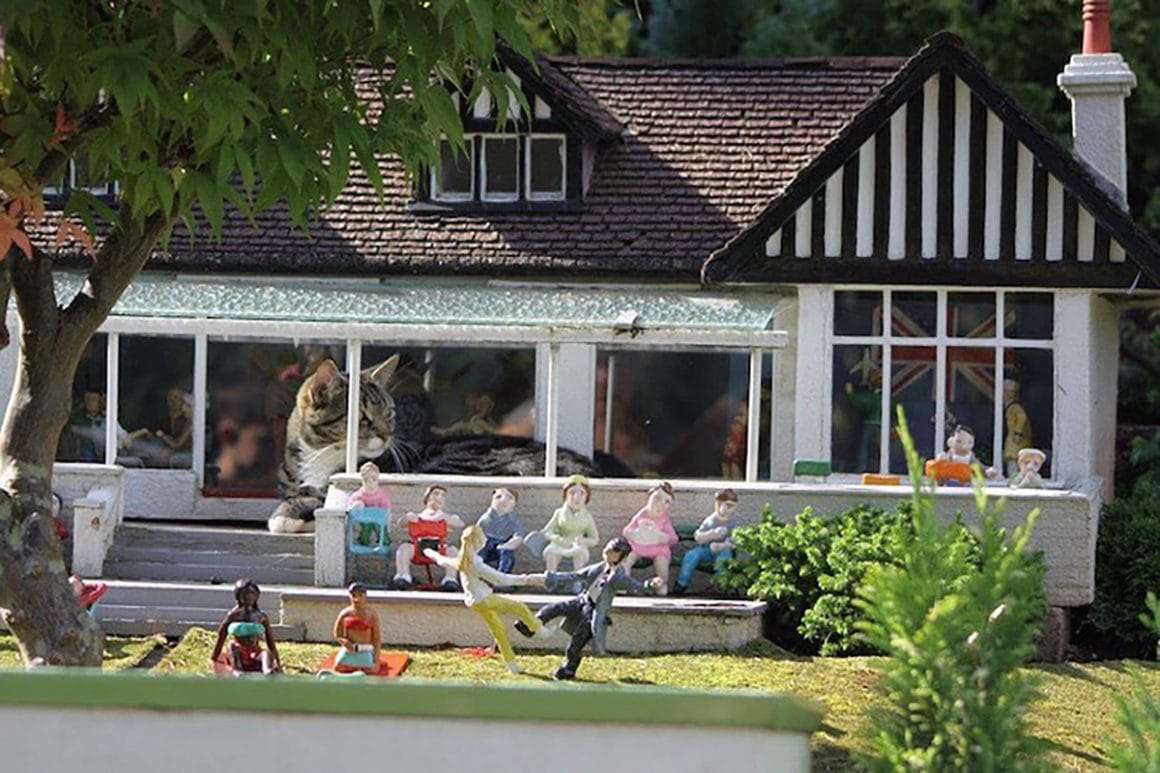 Dans ce village miniature, des « chats géants » sont devenus des stars d’internet #4