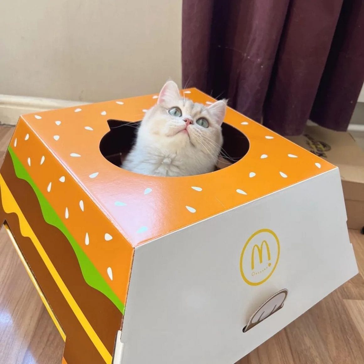 McDonald’s offre des niches pour chats en forme de boîtes à burger