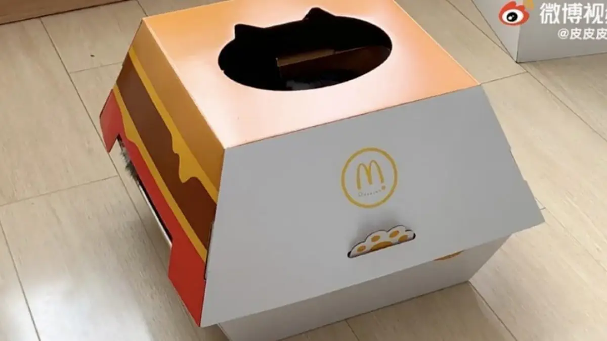 McDonald’s offre des niches pour chats en forme de boîtes à burger