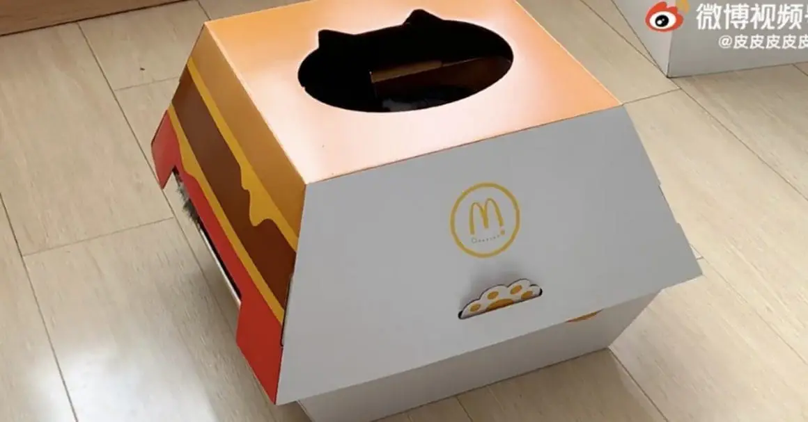 McDonald’s offre des niches pour chats en forme de boîtes à burger